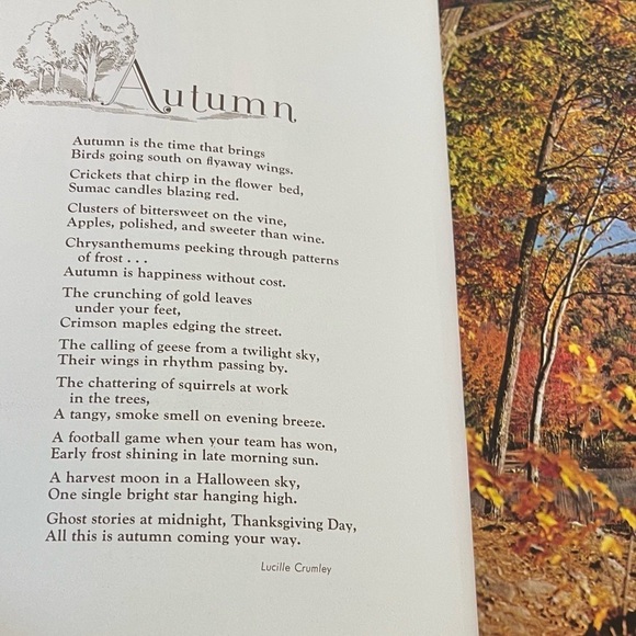 Three Autumn Ideals Magazines - Picture 4 of 8